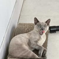 Photo of Jazzi 