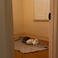 Photo of Russ ( Lazerus )