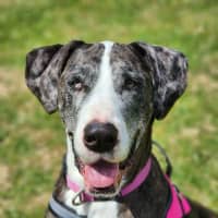 Photo of 🎭 Wednesday 6534 🎭