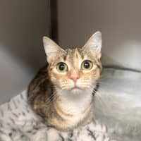 Photo of Coco 