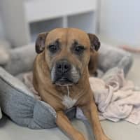 Photo of 💅 Lexi 6188 💅