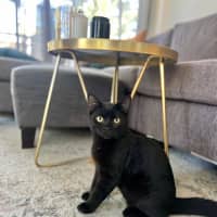 Photo of Kevin And Shadow