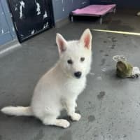 Photo of Maya