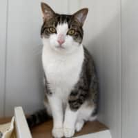 Photo of Mandy & Molly