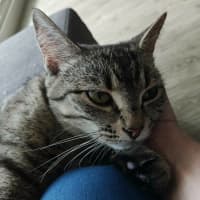 Photo of Marceline   In Foster Care In Preston