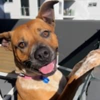 Photo of Sasha