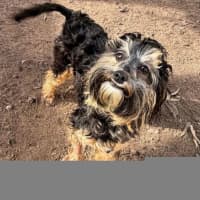 Photo of Cleo