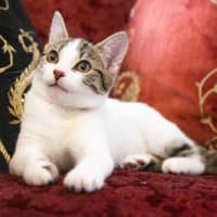 Photo of Lulu