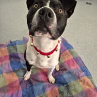 Photo of Kenny! 🤍🖤