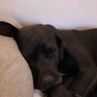 Photo of Stella Lozano