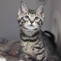 Photo of Sugar Pie