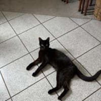 Photo of Penny