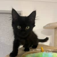 Photo of Turbo 