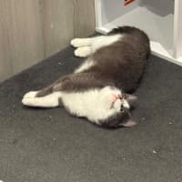 Photo of Bonnie