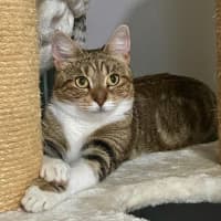 Photo of Princess Lilibet