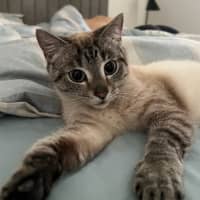 Photo of Aurora