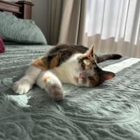 Photo of Zoe