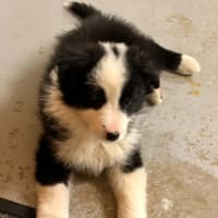 Photo of Kylo