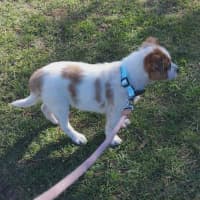 Photo of Allie
