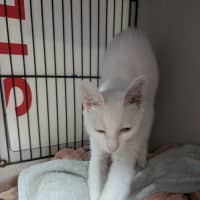 Photo of Ula