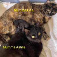 Photo of Ashlie & Lisa