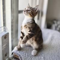 Photo of Jack Sparrow