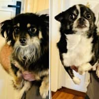 Photo of Cody And Little One