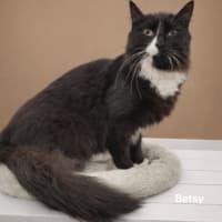 Photo of Betsy