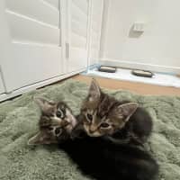 Photo of Mia