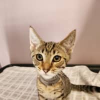 Photo of Andy   On Display @ Vets On Parker