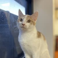 Photo of Simon