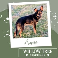 Photo of Annie