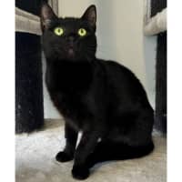 Photo of 1180   Zena