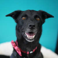 Photo of Marnie