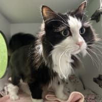 Photo of Maggie