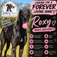 Photo of Roxy