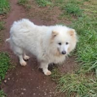 Photo of Bliss & Crystal