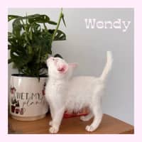 Photo of Wendy