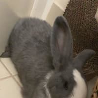 Photo of Clover & Connie