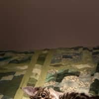 Photo of Essie