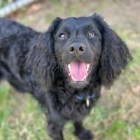 Photo of Marge