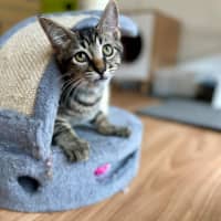 Photo of Chimney