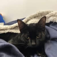 Photo of Detroit, Louisiana And Phoenix Arizona