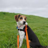 Photo of Lola