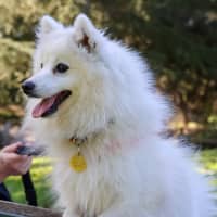 Photo of Tsuki