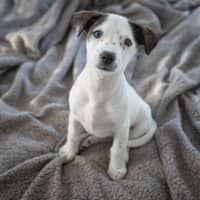 Photo of Wilma