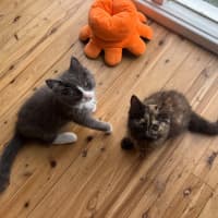 Photo of Huey And Lulu