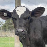 Photo of Ainsley And Ridley