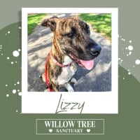 Photo of Lizzy