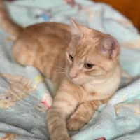 Photo of Sparkles